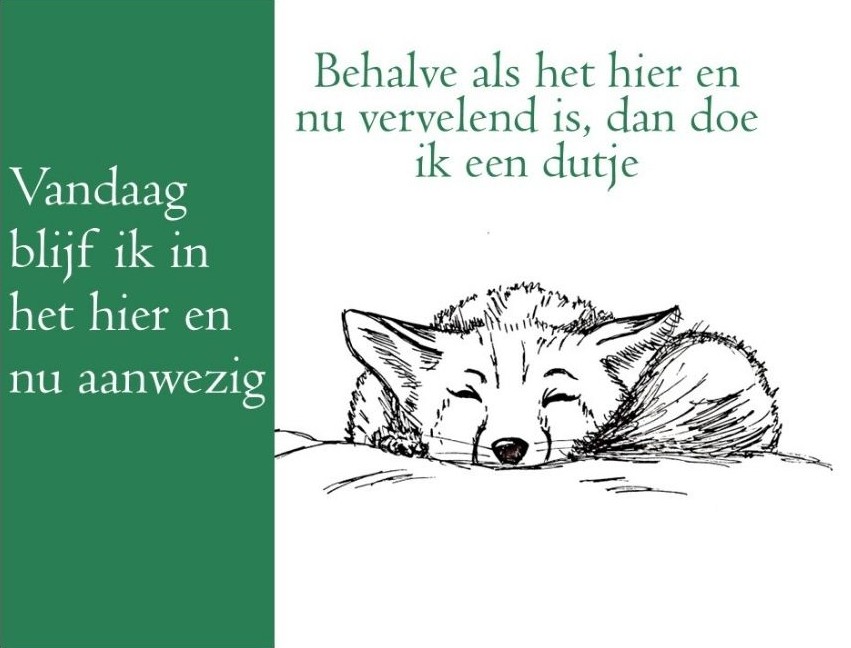8 weekse mindfulness cursus