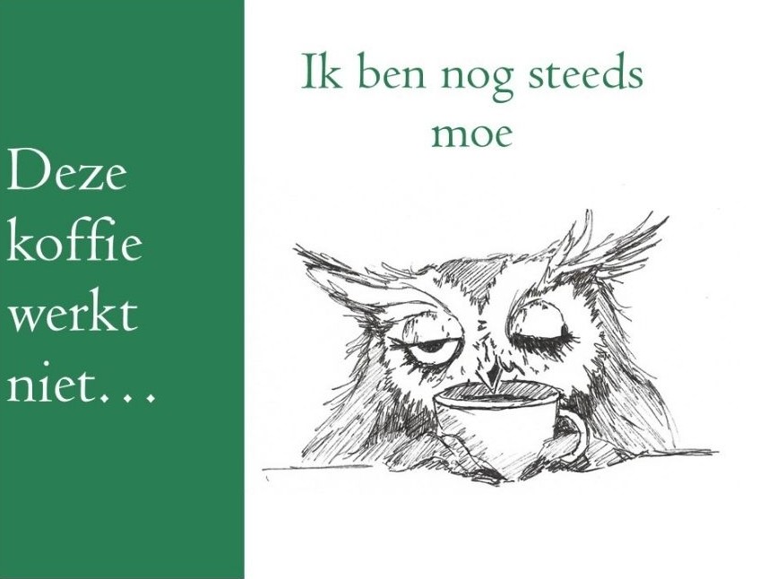 slaapcoach wageningen en ede regio